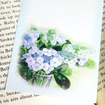 水彩画一筆箋118「額紫陽花」２５枚の画像
