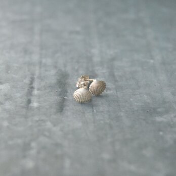 小さな貝殻のピアス　銀の画像