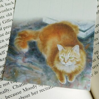 水彩画一筆箋301「ネコ」２５枚の画像