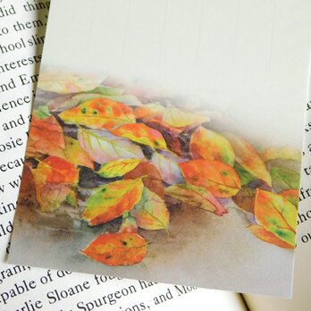 水彩画一筆箋303「落ち葉」２５枚の画像