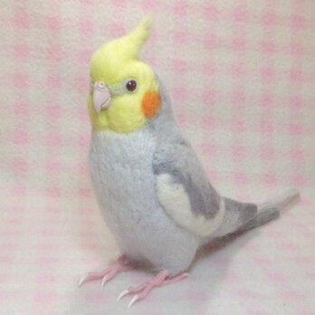 1/1サイズ オカメインコ ノーマル♂　羊毛フェルト 受注製作　ライフサイズ　羊毛インコ　羊毛ぬいぐるみ　工房小鳥屋さんの画像