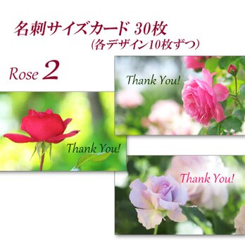 咲き誇るバラたち　  名刺サイズサンキューカード   30枚の画像