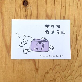 サクマカメラポストカード カメラの奥で熟睡するサクマの画像