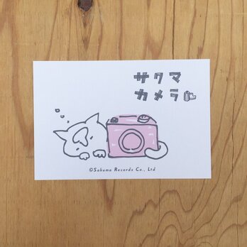 サクマカメラポストカード カメラの奥で寝るサクマの画像