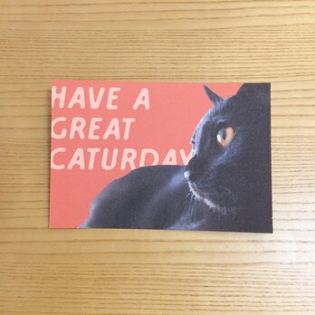 黒猫ポストカード　HAVE A GREAT CATURDAYの画像