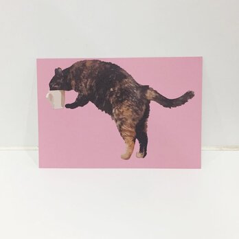 水のみサビ猫ポストカードの画像