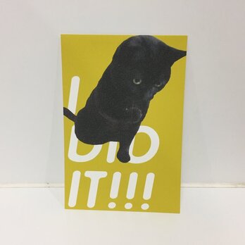 ガッツな黒猫ポストカードの画像