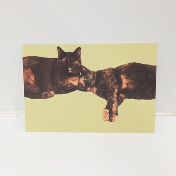 べったりサビ猫ズポストカードの画像