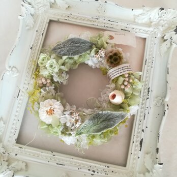 【送料無料】ダリアとラムズイヤーのgreen wreathの画像