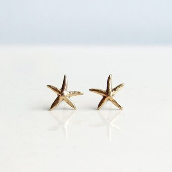 小さなスターフィッシュのスタッドピアス