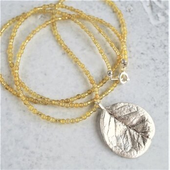 Feijoa leaf necklace (round) [P074SV(NS)]の画像