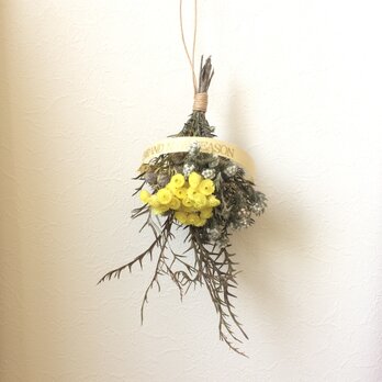 イモーテルのオーナメント