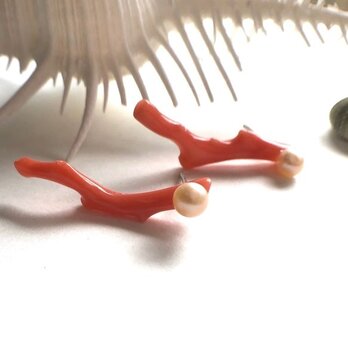 枝珊瑚と真珠の片耳ピアス（SV925、珊瑚、淡水パール）の画像