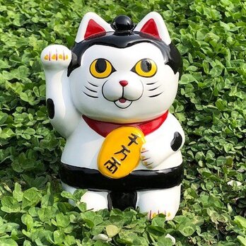 ご利益、ヨコズナ級!? 猫綱 貯金箱の画像