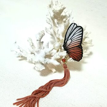 蝶のピアス 小 (マダラ系)