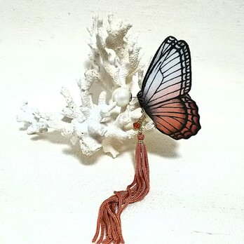 蝶のピアス 大 (モルフォ系)の画像