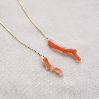 Hawaiian deep sea Coral long chain earrings ハワイ産深海サンゴのロングチェーンピアスの画像