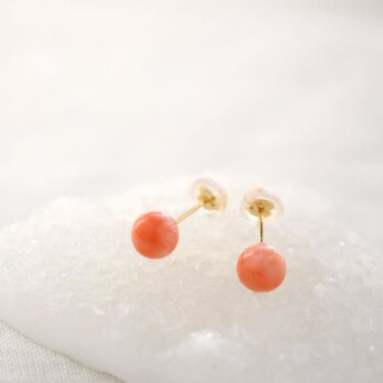 Hawaiian deep sea Coral Stud earrings ハワイ産深海サンゴのスタッドピアス K18の画像