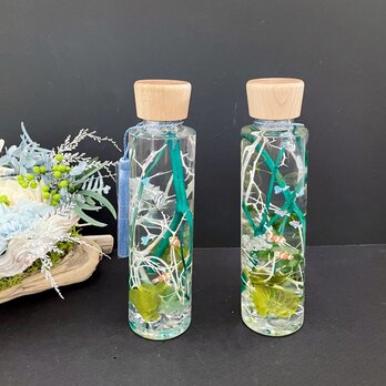 Green herbarium arrangeの画像