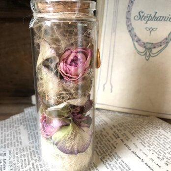 Bottle Flower  Rose *の画像