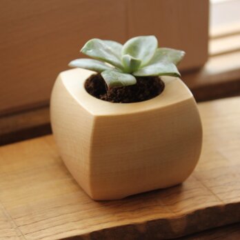 多肉植物プランター＆キャンドルベース