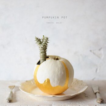 pumpkin pot（large)　white goldの画像