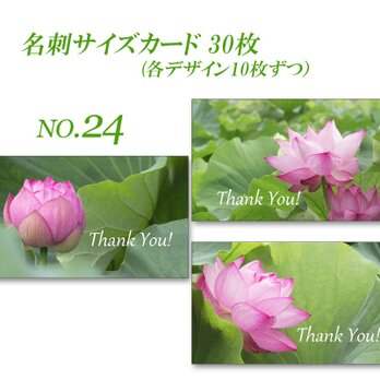 No.24  美しいハスの花　   名刺サイズサンキューカード   30枚の画像