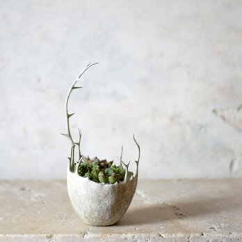 少しだけ嫉妬深い器（antique white）