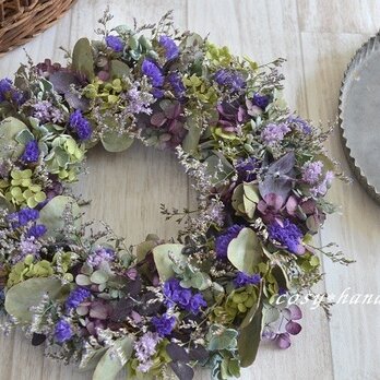 紫野wreathの画像
