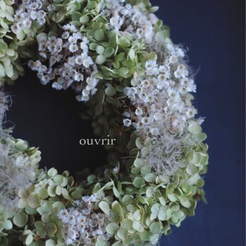 シックなアナベルリース