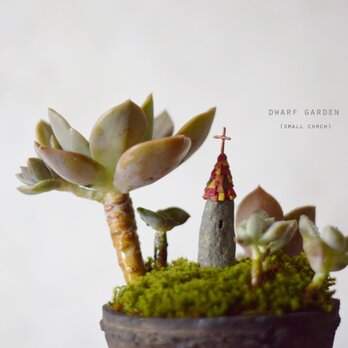小人の庭（小さな教会と多肉植物）の画像