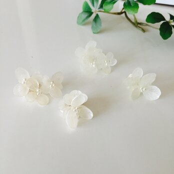 紫陽花の花たっぷりピアス〜ホワイト〜の画像