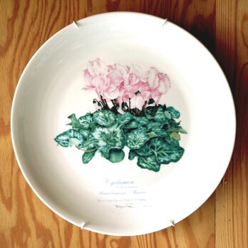 シクラメンのやさしい陶器の壁掛け絵皿(30cm) 送料無料の画像