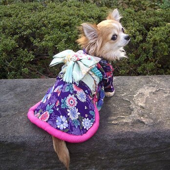 【犬着物】蝶 オーダーメイド 犬の着物 犬服の画像