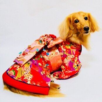 【犬着物】花魁 オーダーメイド 犬服 犬の着物の画像