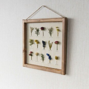 ﾎﾞﾀﾆｶﾙﾊﾟﾈﾙ　Ｘ-181