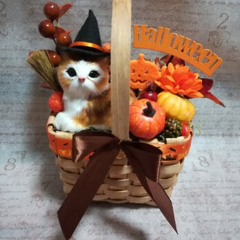 茶トラ猫ちゃんのハロウィン･アレンジMの画像