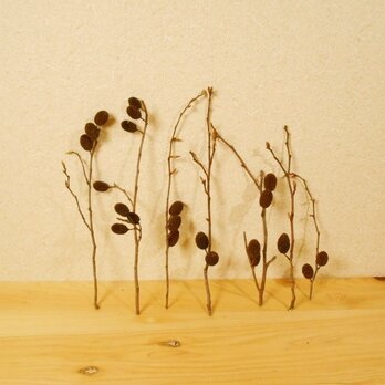 ヤシャブシの実付き枝木003 ～生け花、リース、クリスマス オーナメント、水槽などにの画像