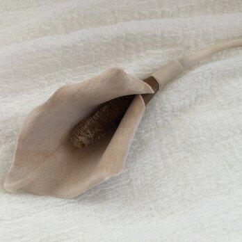 ベージュのカラー