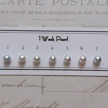 真珠７個セット（ナチュラル7.5ミリ）n.2000-1の画像
