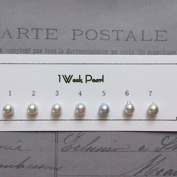 真珠７個セット（ナチュラル7.0ミリ）n.1600-1の画像