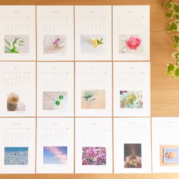 《送料無料》花のカレンダー ポストカードサイズの画像