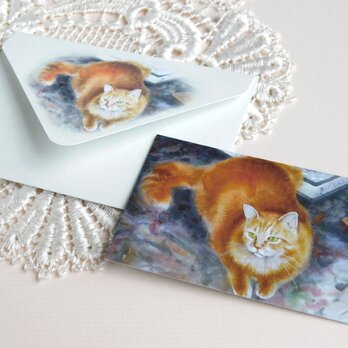 ネコのメッセージカード＆ミニ封筒の画像