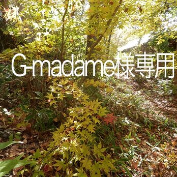 八ヶ岳〜 G-madame様専用の画像