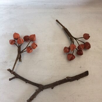 ハゼの実のブローチ