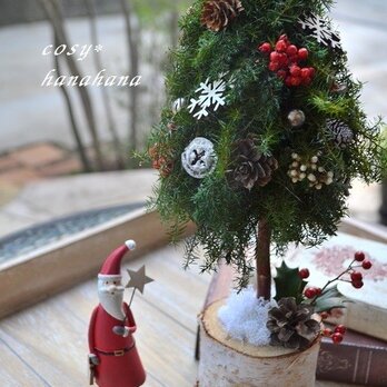 サンタとクリスマスツリー＊星形ステッキの画像