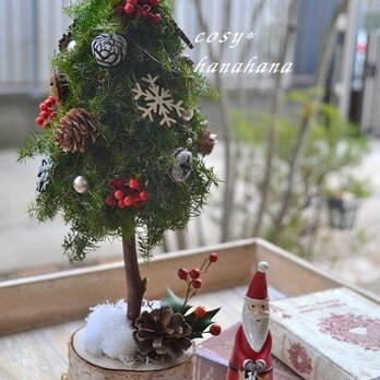 サンタとクリスマスツリー＊星集めの画像