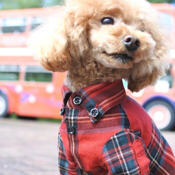 おしゃれな犬の服｜ビエラチェックシャツ（レッド）｜SSサイズの画像