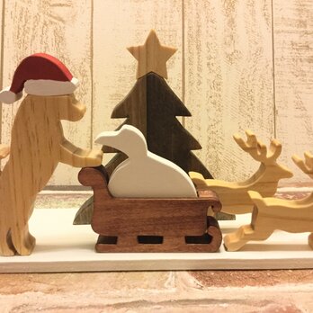 クリスマス☆柴犬が遊ぶクリスマス飾り☆Christmas☆Xmasの画像
