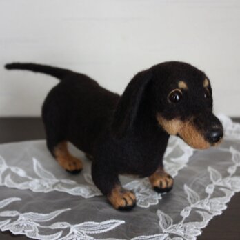 ブラタン　ミニチュアダックス　幼犬。。。羊毛フェルトの画像